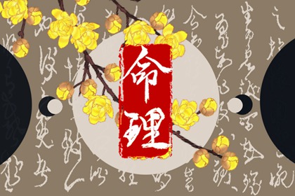 2003年02月14日八字命理查询 这天五行缺什么